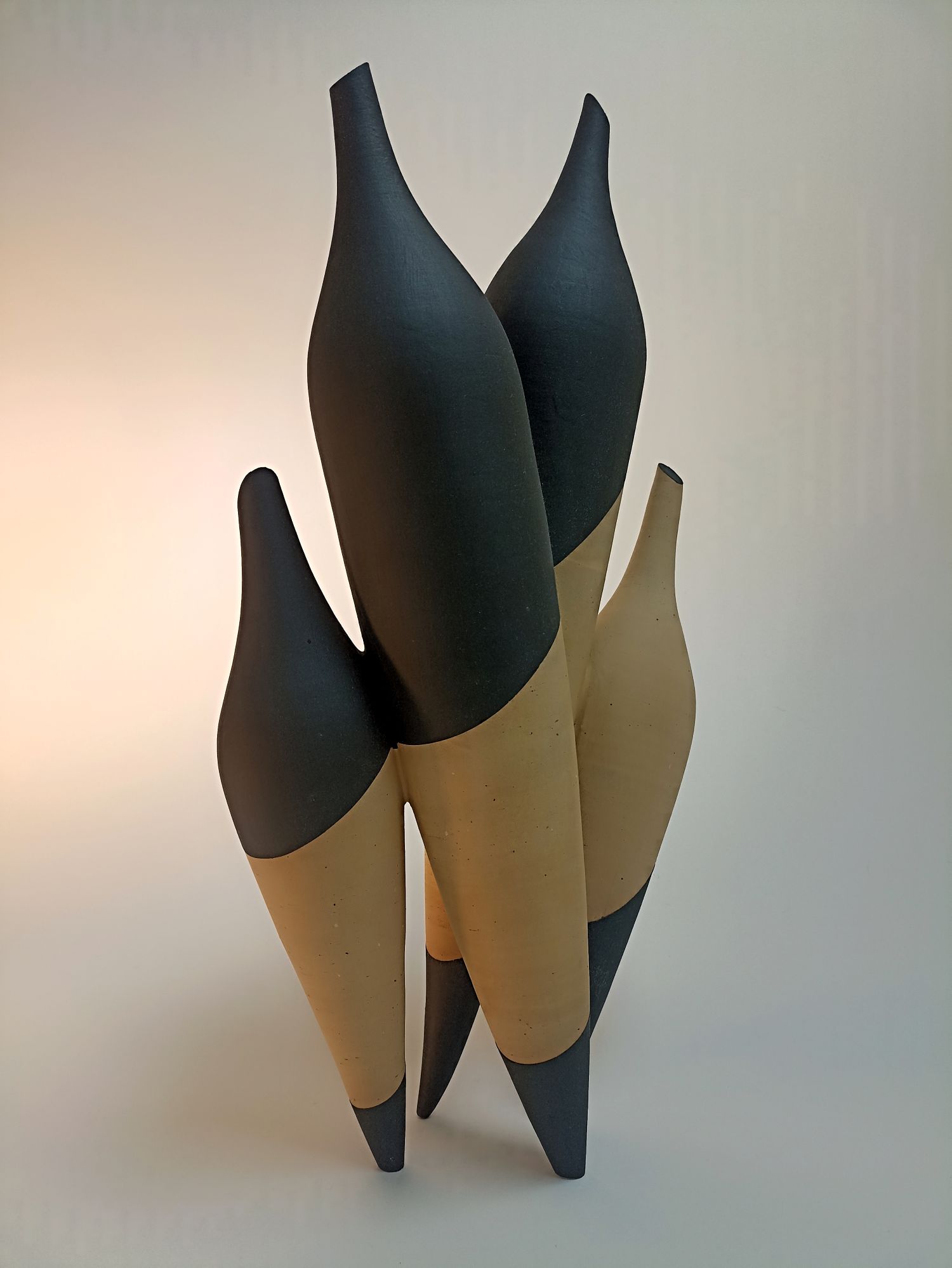 Klemans grand polyphore.jpg